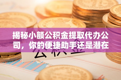 徐闻揭秘小额公积金提取代办公司，你的便捷助手还是潜在风险？