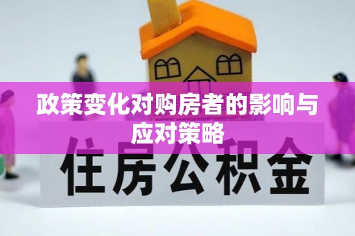 徐闻政策变化对购房者的影响与应对策略