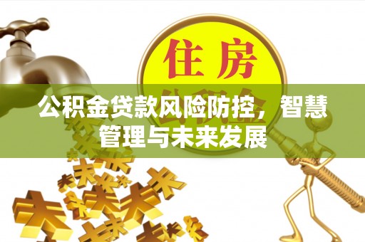 徐闻公积金贷款风险防控，智慧管理与未来发展