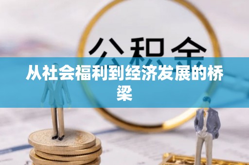 徐闻从社会福利到经济发展的桥梁