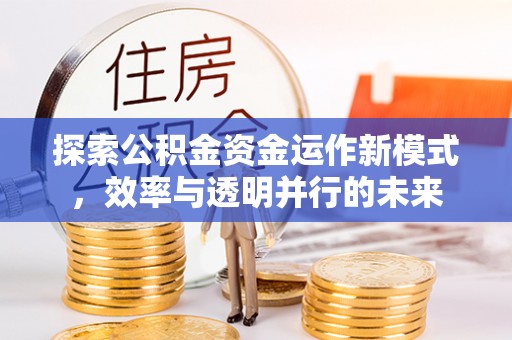 徐闻探索公积金资金运作新模式，效率与透明并行的未来