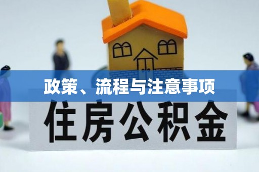 徐闻政策、流程与注意事项