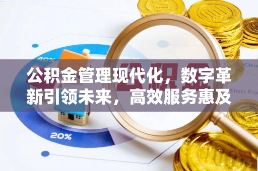 徐闻公积金管理现代化，数字革新引领未来，高效服务惠及民生