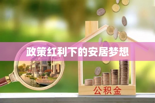徐闻政策红利下的安居梦想