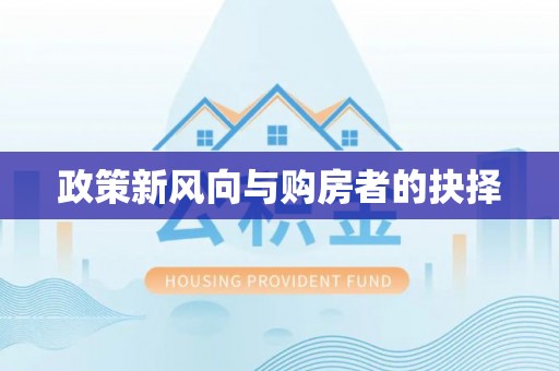 徐闻政策新风向与购房者的抉择