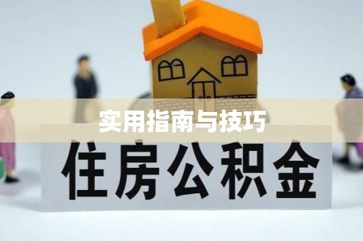 徐闻实用指南与技巧