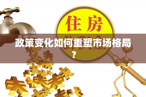 徐闻政策变化如何重塑市场格局？