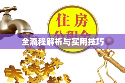 徐闻全流程解析与实用技巧