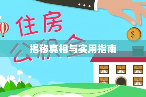 徐闻揭秘真相与实用指南