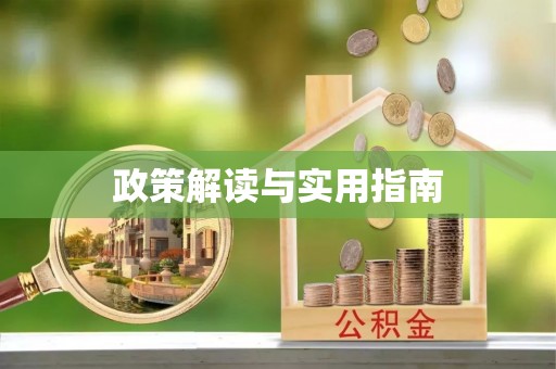 徐闻政策解读与实用指南