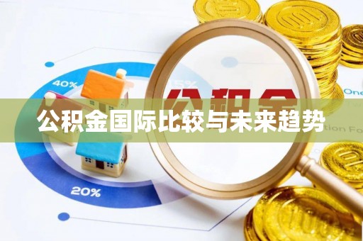 徐闻公积金国际比较与未来趋势