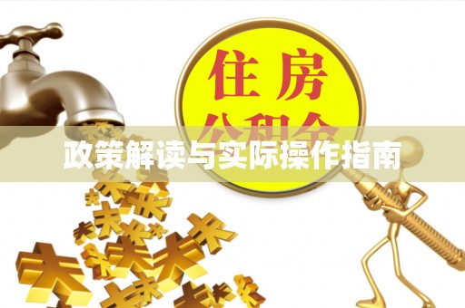 徐闻政策解读与实际操作指南