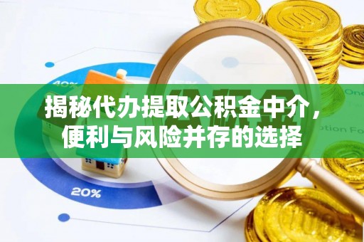 徐闻揭秘代办提取公积金中介，便利与风险并存的选择