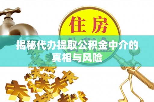 徐闻揭秘代办提取公积金中介的真相与风险