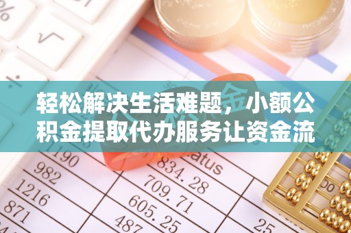 徐闻轻松解决生活难题，小额公积金提取代办服务让资金流动更便捷
