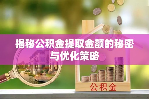 徐闻揭秘公积金提取金额的秘密与优化策略