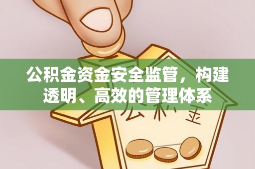 徐闻公积金资金安全监管，构建透明、高效的管理体系