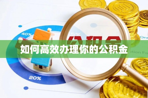 徐闻如何高效办理你的公积金