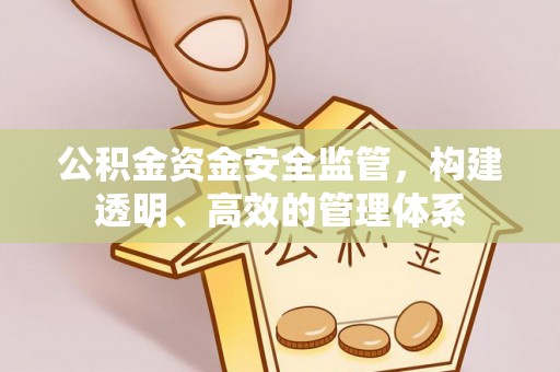 徐闻公积金资金安全监管，构建透明、高效的管理体系