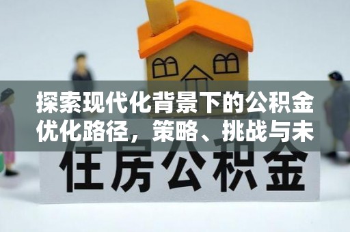 徐闻探索现代化背景下的公积金优化路径，策略、挑战与未来展望