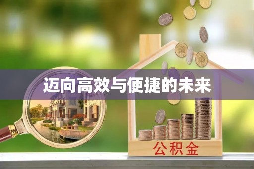 徐闻迈向高效与便捷的未来