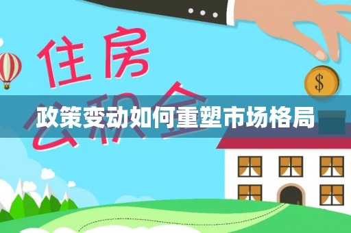 徐闻政策变动如何重塑市场格局