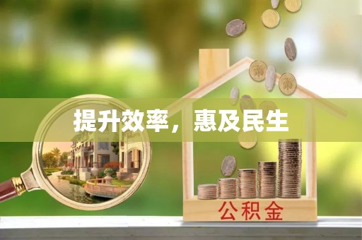徐闻提升效率，惠及民生