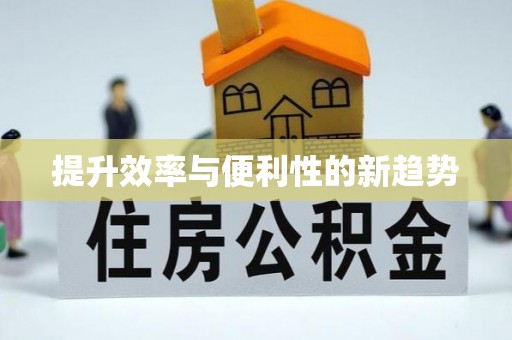 徐闻提升效率与便利性的新趋势