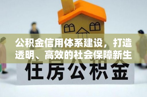 徐闻公积金信用体系建设，打造透明、高效的社会保障新生态