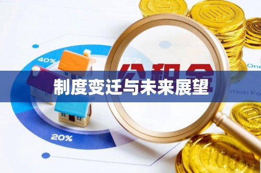 徐闻制度变迁与未来展望