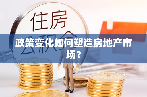徐闻政策变化如何塑造房地产市场？
