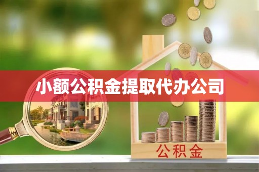 徐闻小额公积金提取代办公司