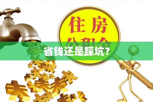 徐闻省钱还是踩坑？