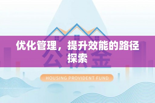 徐闻优化管理，提升效能的路径探索