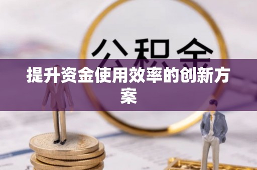 徐闻提升资金使用效率的创新方案