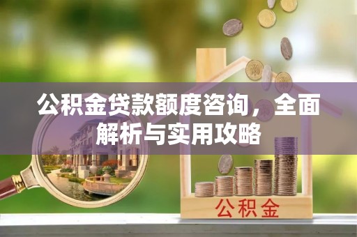 徐闻公积金贷款额度咨询，全面解析与实用攻略