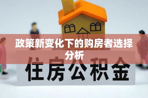 徐闻政策新变化下的购房者选择分析