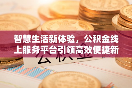 徐闻智慧生活新体验，公积金线上服务平台引领高效便捷新潮流