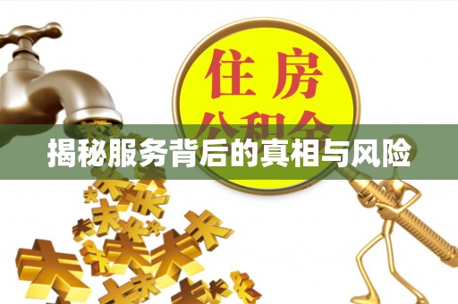 徐闻揭秘服务背后的真相与风险