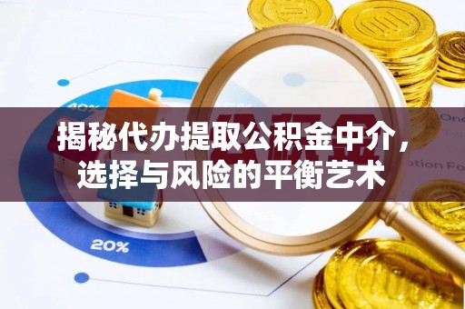 徐闻揭秘代办提取公积金中介，选择与风险的平衡艺术