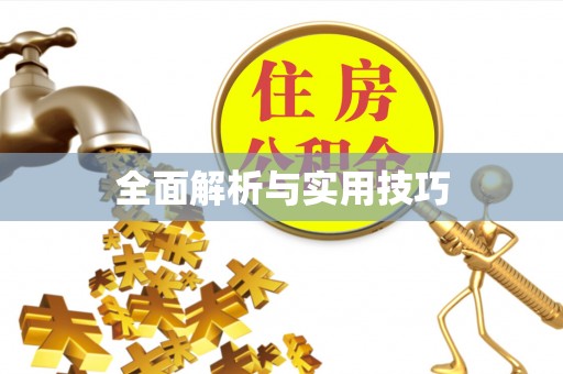徐闻全面解析与实用技巧