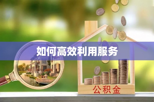 徐闻如何高效利用服务