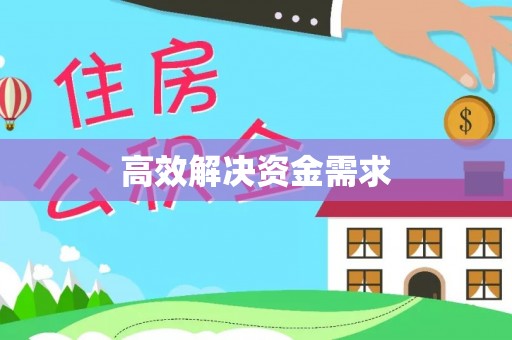 徐闻高效解决资金需求