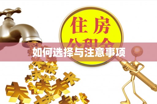 徐闻如何选择与注意事项