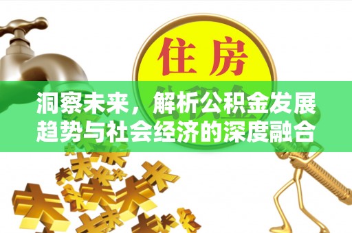 徐闻洞察未来，解析公积金发展趋势与社会经济的深度融合