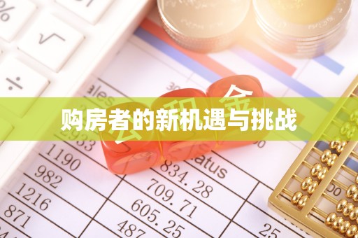 徐闻购房者的新机遇与挑战