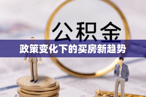 徐闻政策变化下的买房新趋势