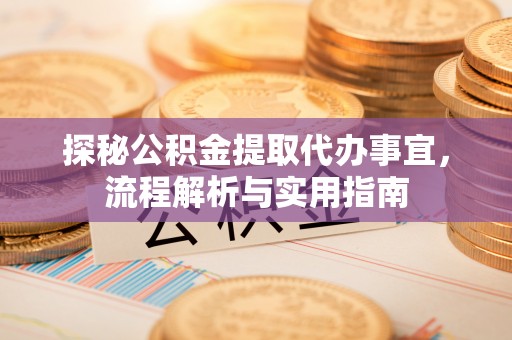 徐闻探秘公积金提取代办事宜，流程解析与实用指南