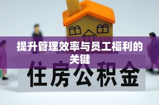 徐闻提升管理效率与员工福利的关键