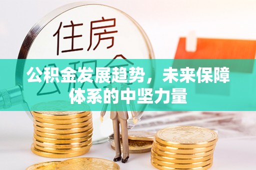 徐闻公积金发展趋势，未来保障体系的中坚力量